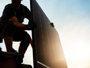 Universal Truths & Simple Solutions for a Sustainable Future